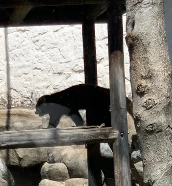 天王寺動物園に投稿された画像（2022/3/27）