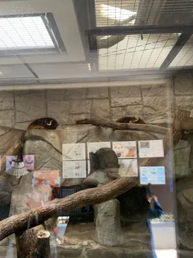 天王寺動物園に投稿された画像（2022/3/27）