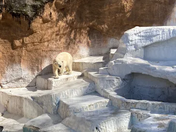 天王寺動物園に投稿された画像（2022/3/27）