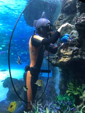 サンシャイン水族館に投稿された画像（2022/3/27）