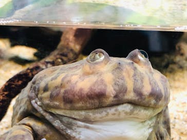 サンシャイン水族館に投稿された画像（2022/3/27）