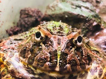 サンシャイン水族館に投稿された画像（2022/3/27）