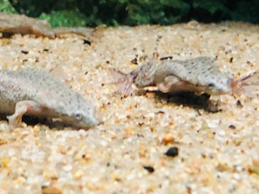 サンシャイン水族館に投稿された画像（2022/3/27）