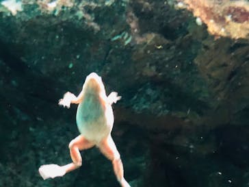 サンシャイン水族館に投稿された画像（2022/3/27）