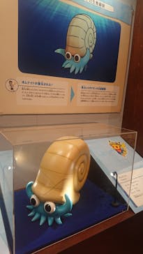 国立科学博物館　特別企画展「ポケモン化石博物館」に投稿された画像（2022/3/27）