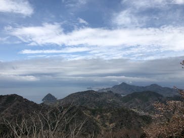 伊豆パノラマパークに投稿された画像（2022/3/27）