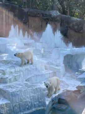 天王寺動物園に投稿された画像（2022/3/27）