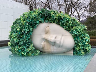 彫刻の森美術館に投稿された画像（2022/3/27）