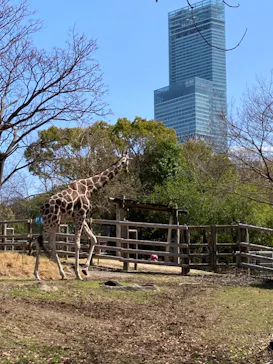 天王寺動物園に投稿された画像（2022/3/27）