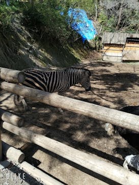 長崎バイオパークに投稿された画像（2022/3/27）