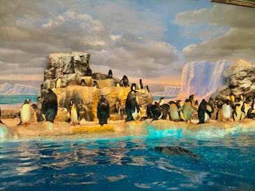 名古屋港水族館に投稿された画像（2022/3/27）