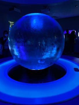 新江ノ島水族館に投稿された画像（2022/3/27）