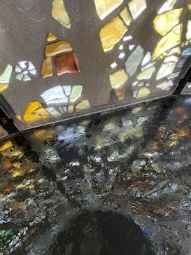 彫刻の森美術館に投稿された画像（2022/3/27）