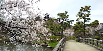 三溪園に投稿された画像（2022/3/27）