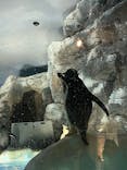 名古屋港水族館に投稿された画像（2022/3/27）
