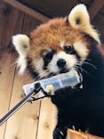 伊豆シャボテン動物公園に投稿された画像（2022/3/27）
