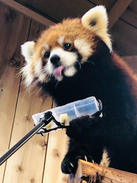 伊豆シャボテン動物公園に投稿された画像（2022/3/27）