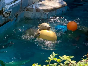 天王寺動物園に投稿された画像（2022/3/27）