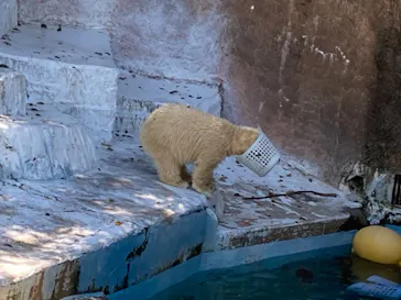 天王寺動物園に投稿された画像（2022/3/27）