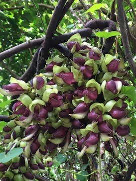 アスムイハイクスに投稿された画像（2022/3/27）