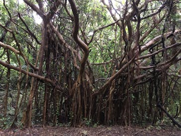 アスムイハイクスに投稿された画像（2022/3/27）