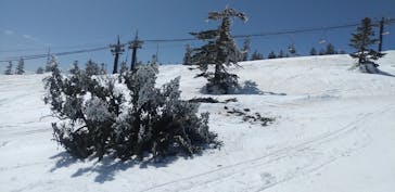 志賀高原マウンテンリゾートに投稿された画像（2022/3/27）