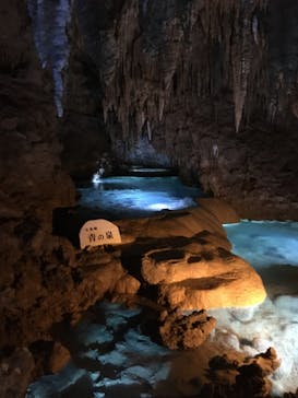 おきなわワールドに投稿された画像（2022/3/26）