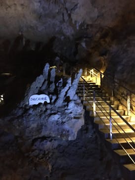 おきなわワールドに投稿された画像（2022/3/26）