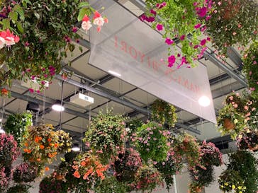 よみうりランド HANA･BIYORIに投稿された画像（2022/3/27）