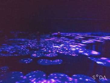 森ビル デジタルアート ミュージアム：エプソン チームラボボーダレスに投稿された画像（2022/3/27）