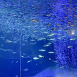 南知多ビーチランド＆南知多おもちゃ王国に投稿された画像（2022/3/27）