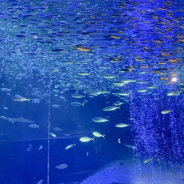 南知多ビーチランド＆南知多おもちゃ王国に投稿された画像（2022/3/27）