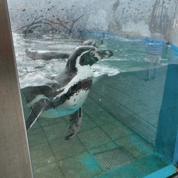 南知多ビーチランド＆南知多おもちゃ王国に投稿された画像（2022/3/27）