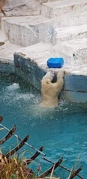 天王寺動物園に投稿された画像（2022/3/27）