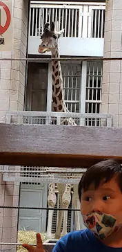 天王寺動物園に投稿された画像（2022/3/27）