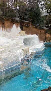天王寺動物園に投稿された画像（2022/3/27）