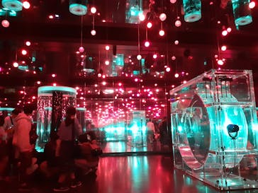 マクセル アクアパーク品川に投稿された画像（2022/3/27）