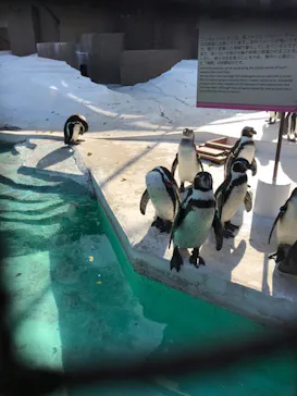天王寺動物園に投稿された画像（2022/3/27）
