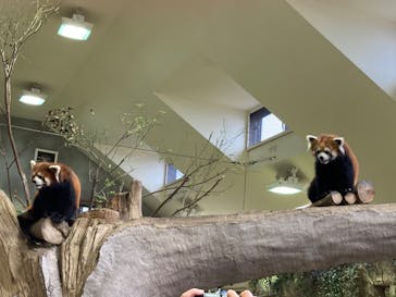 那須どうぶつ王国に投稿された画像（2022/3/27）