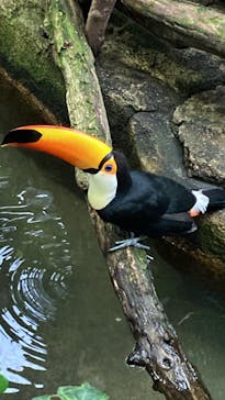 那須どうぶつ王国に投稿された画像（2022/3/27）