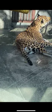 天王寺動物園に投稿された画像（2022/3/27）
