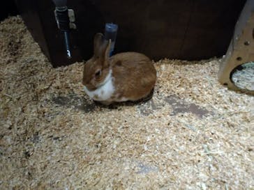 Moff animal world MARK IS みなとみらい店に投稿された画像（2022/3/27）