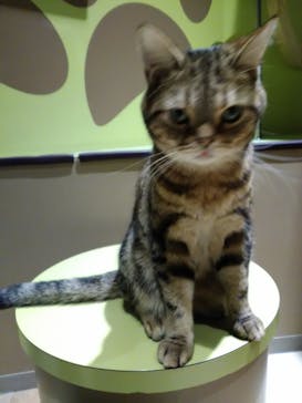 Moff animal world MARK IS みなとみらい店に投稿された画像（2022/3/27）