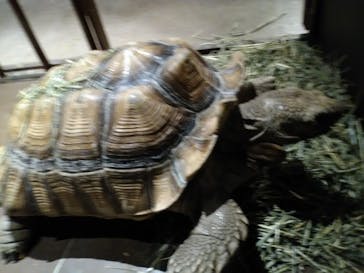 Moff animal world MARK IS みなとみらい店に投稿された画像（2022/3/27）