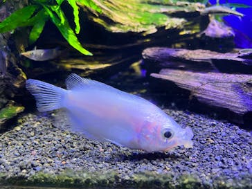 サンシャイン水族館に投稿された画像（2022/3/27）