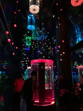 マクセル アクアパーク品川に投稿された画像（2022/3/27）