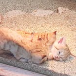 神戸どうぶつ王国に投稿された画像（2022/3/27）