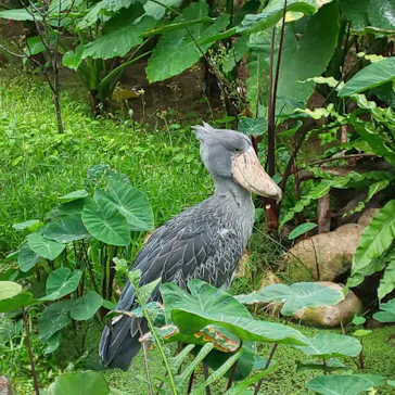 神戸どうぶつ王国に投稿された画像（2022/3/27）