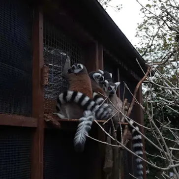 神戸どうぶつ王国に投稿された画像（2022/3/27）