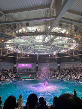 マクセル アクアパーク品川に投稿された画像（2022/3/27）